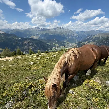 Austria شقة